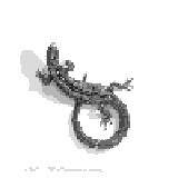 Miniature carte 187