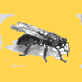 Miniature carte 188