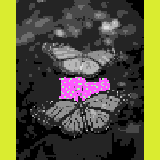 Miniature carte 202