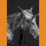Miniature carte 218