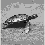 Miniature carte 192