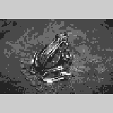 Miniature carte 204